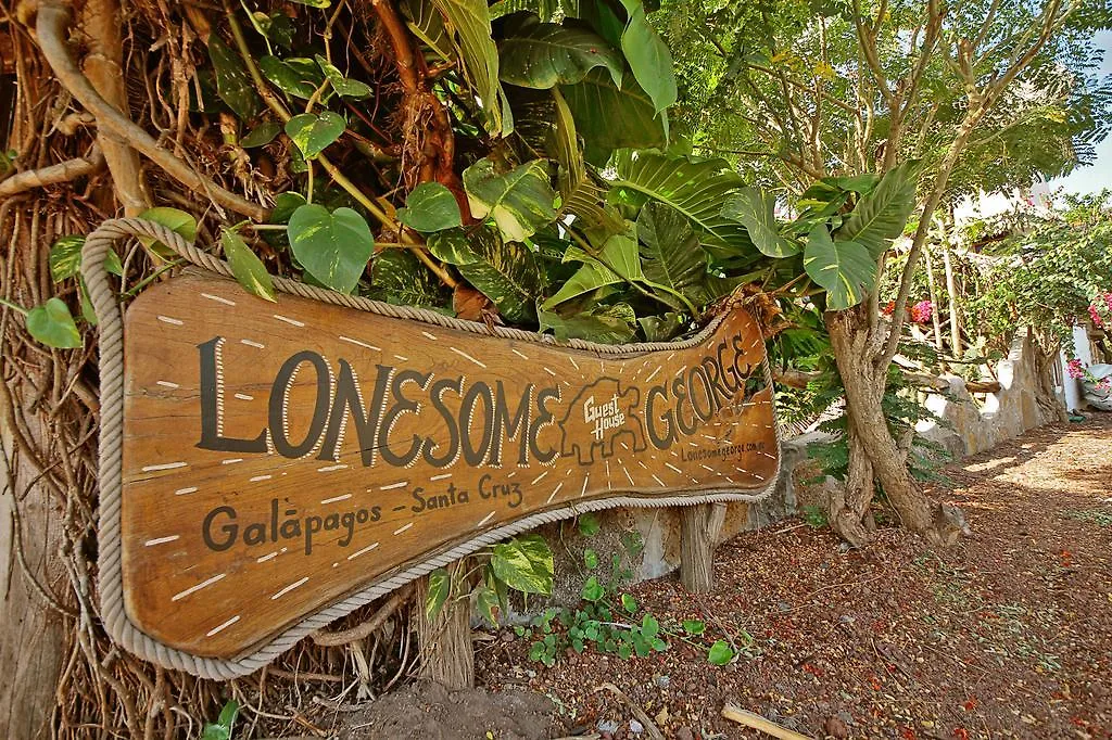 Lonesome George Ecolodge Puerto Ayora  Ecuador