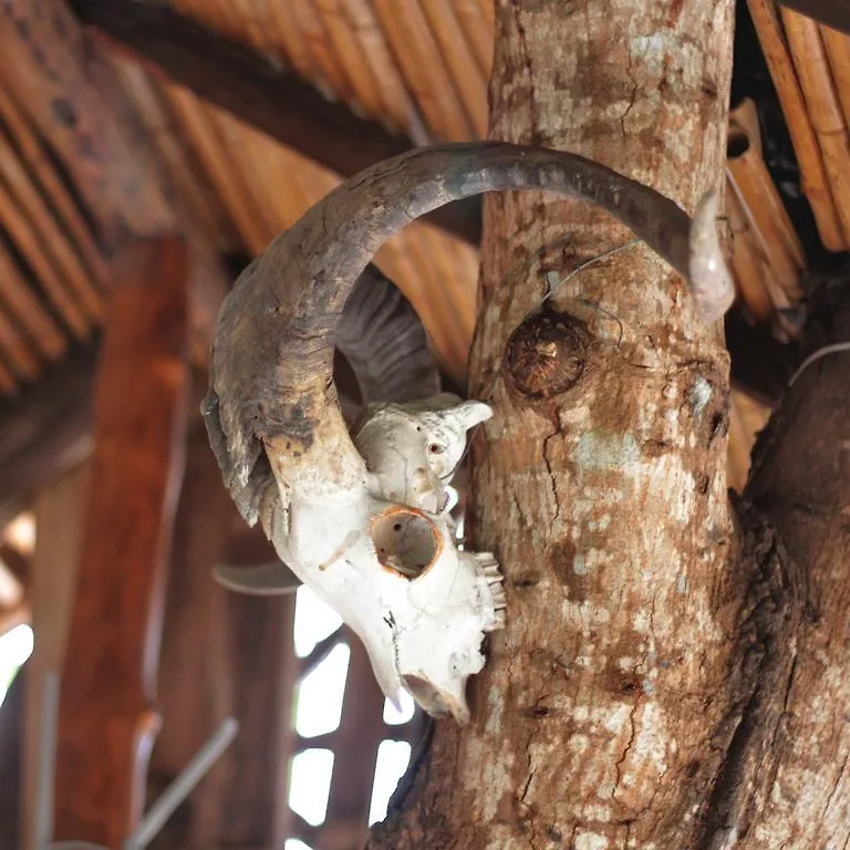 Lonesome George Ecolodge Puerto Ayora  Équateur