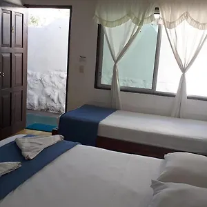 2* Gasthof Darwin